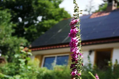 Chalet Bergweide