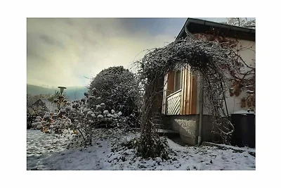 Holiday home in Harz with 2 bedrooms