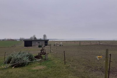 6 Personen Ferienhaus in Kirke Hyllinge