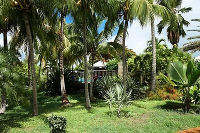 Mobilheim - Bungalow - Cottage für 6 Personen