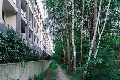 Elegante appartamento in città per 3 ospiti