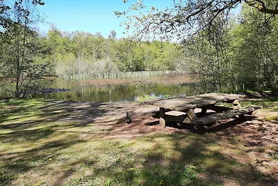 6 persoons vakantie huis in Ålbæk