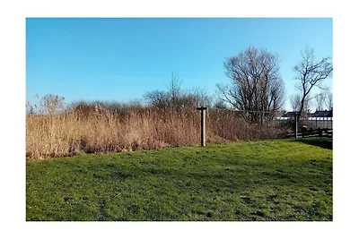 Ferienhaus in Heeg mit Schwimmbecken