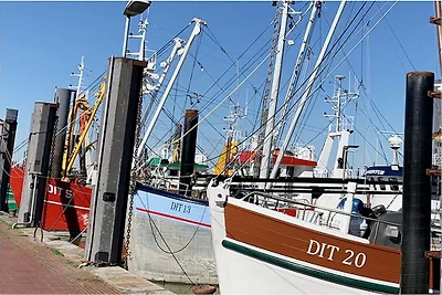 Fin del mundo||Ditzum