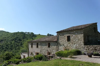 Carincone Fuoco