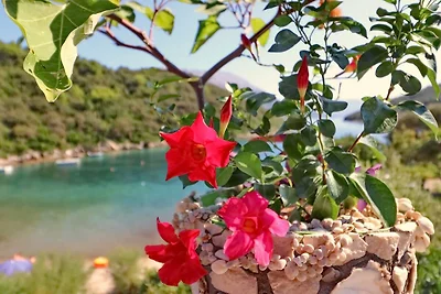 Apartments Villa Cebalo Korčula - Superior Th...