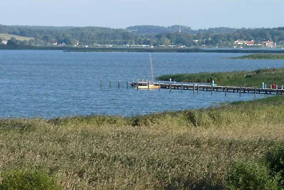 Ferienwohnung in Balm mit Schwimmbecken