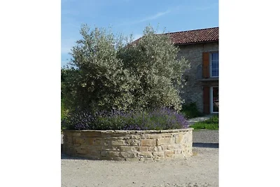 Casa Seta II, Cascine Crema