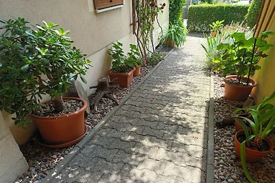 "Linde" en la Casa Kühn