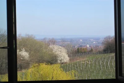 Ferienwohnung in Burrweiler mit Wifi