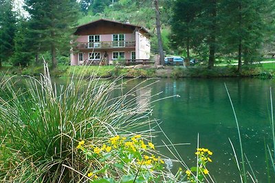 Geräumige Ferienwohnung, Tal der Zorn