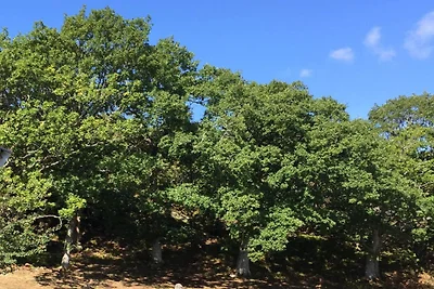 5 Sterne Ferienhaus in MARSTRAND
