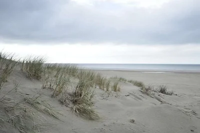 Wattläufer im Haus Sanderling