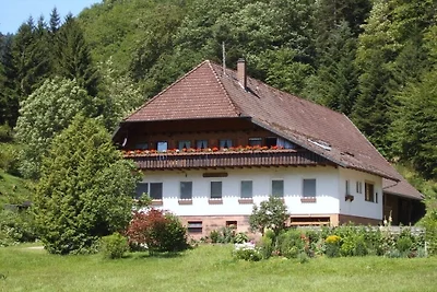 Vakantiehuis Ontspannende vakantie Bad Rippoldsau-Schapbach