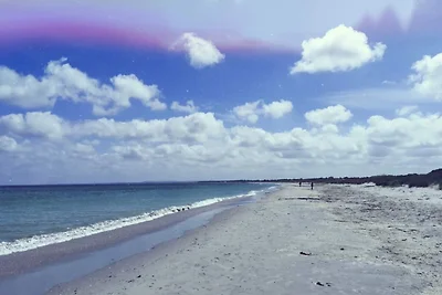 6 Personen Ferienhaus in Ålbæk-By Traum