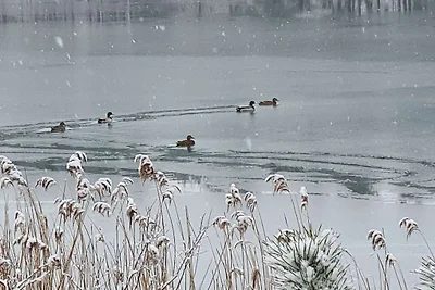 Maison de vacances avec vue sur le lac