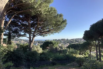 La Petite Provence || Cavalaire