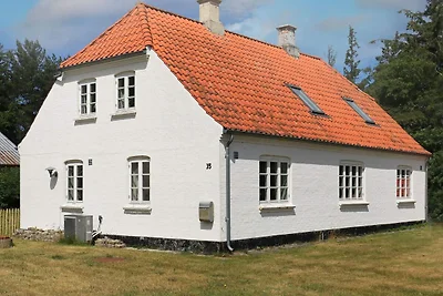 8 Personen Ferienhaus in Bindslev