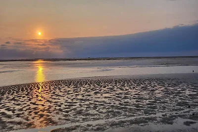 Penthouse aan het Noorderstrand op de dijk