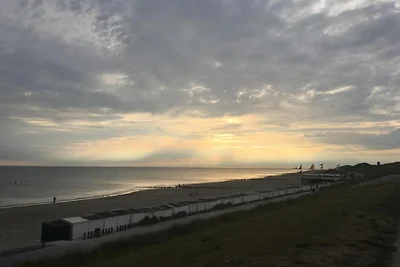 Wohnung in Zoutelande am sonnigen Strand