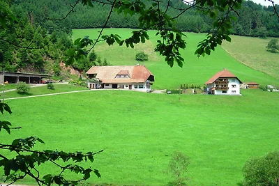 Ferienwohnung in Hofstetten inmitten der...