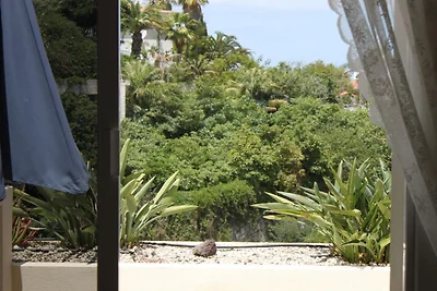 Bungalow in Tenerife with 2 bedrooms