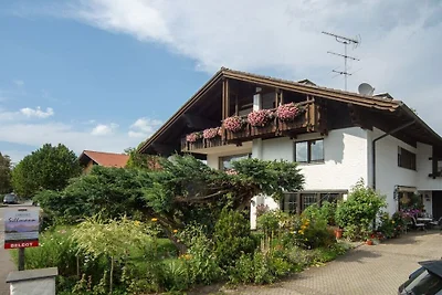 Kraai bij het landhuis van Sillmann