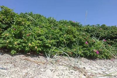 Verstecktes Paradies in Kelstrup -- By Traum...