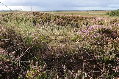 4 Personen Ferienhaus in Vejers Strand-By...