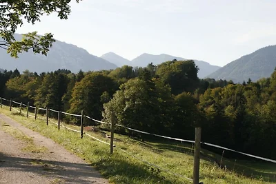 Michael und Sabine Stock