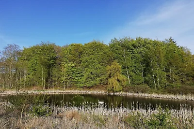 Meeresruhe am Fuglsovig-By Traum