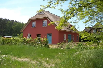 Vakantiehuis met 1 slaapkamer