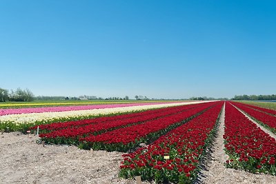 Vakantiehuis met overdekt terras