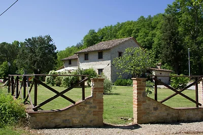 Modernes Ferienhaus mit Garten