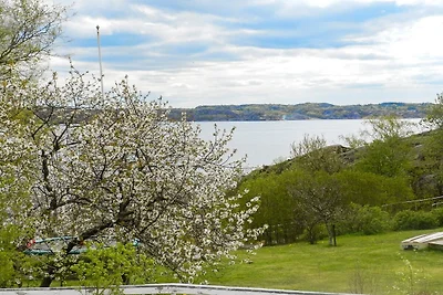 7 persone case ad LYSEKIL