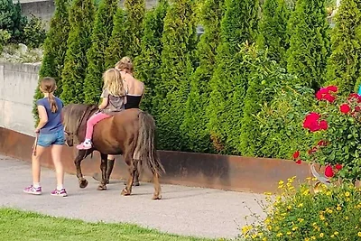 Golden Delicious - Bauernhof Stadlgut