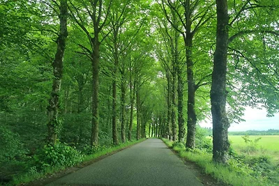 8 Personen Ferienhaus in Øster Assels-By...