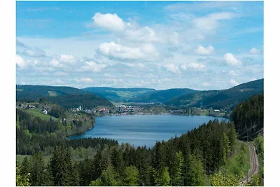 Casa vacanze Vacanza di relax Titisee-Neustadt