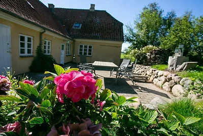 7 Personen Ferienhaus in Tranekær-By Traum