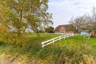 Apartment in Tönning nahe Eider für 2 Von...