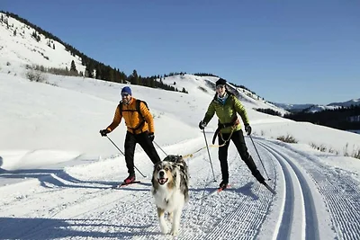 Ferienwohnung in Haut Lieux mit Skizugang