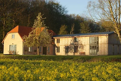 Waldhaus - Kate mit Privatstrand
