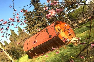 Soggiorno in botte tra vigne in Provenza