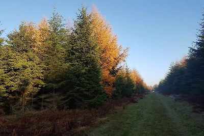 8 Personen Ferienhaus in Toftlund-By Traum