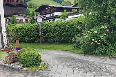 Schmittenblick - Haus Hollaus