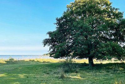 4 Sterne Ferienhaus in SÖLVESBORG-By Traum