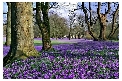 Ferienwohnung mit 2 Schlafzimmer