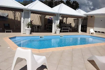 Villa sull'albero del viaggiatore