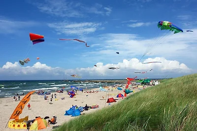 Eingeschossige Ferienhäuser mit 1...