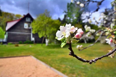 Casa vacanze a Stolpie